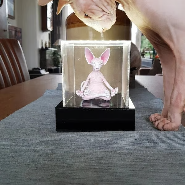 š„š»Sphynx Cat Meditate Yoga(BUY 2 FREE SHIPPING)