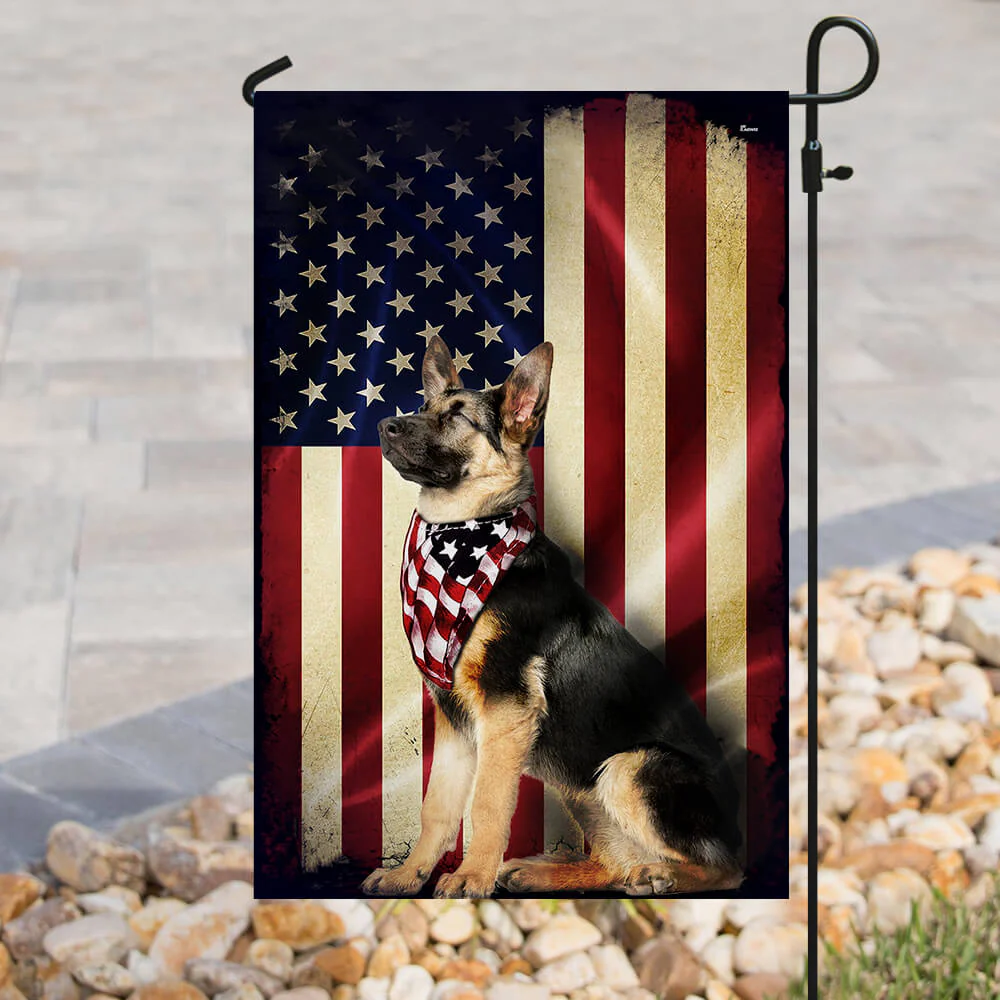 đ 4th of July Patriotic Pet Decor