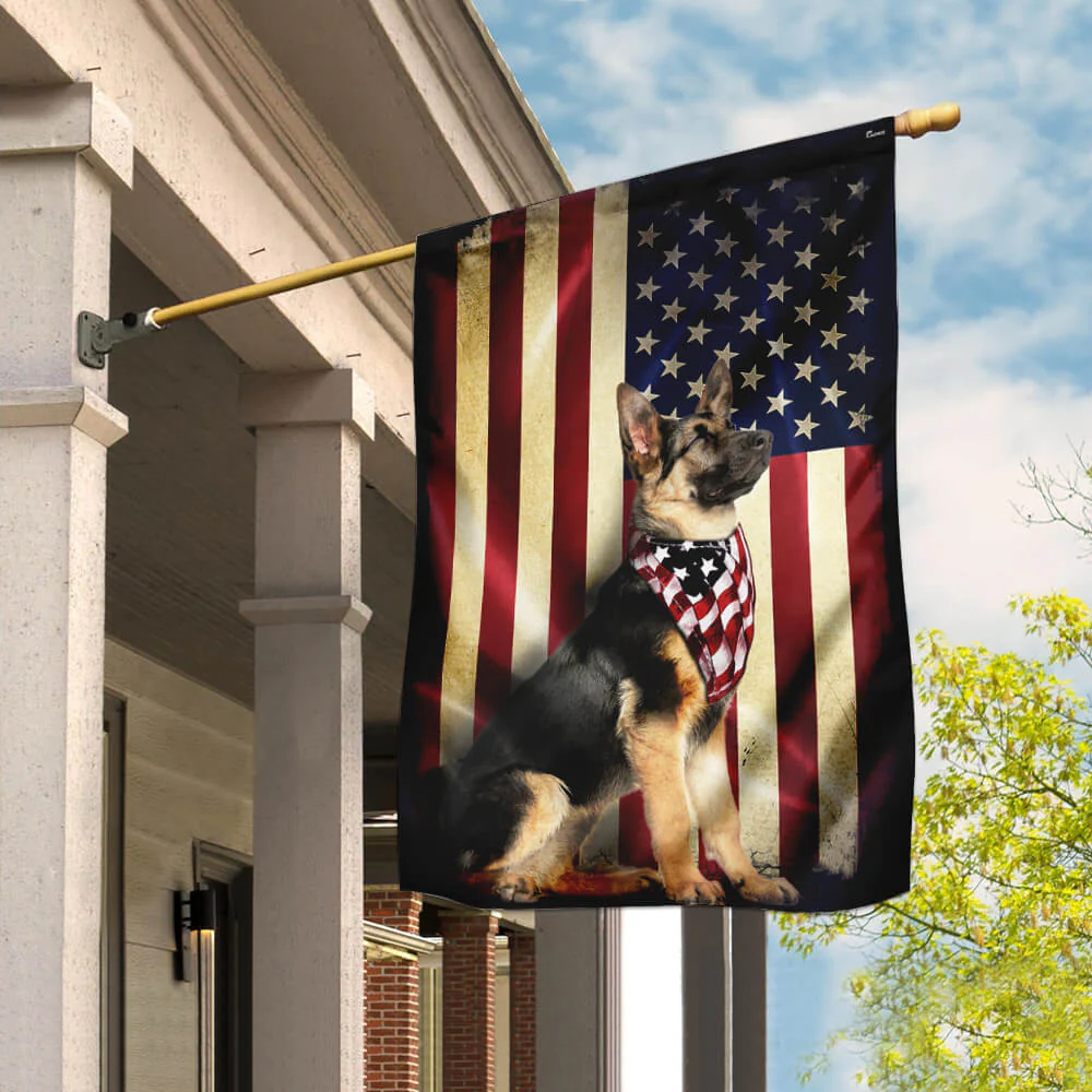 đ 4th of July Patriotic Pet Decor