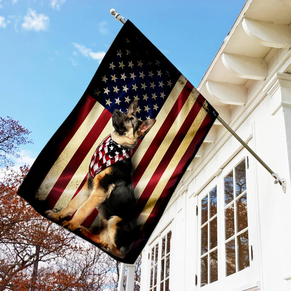 đ 4th of July Patriotic Pet Decor