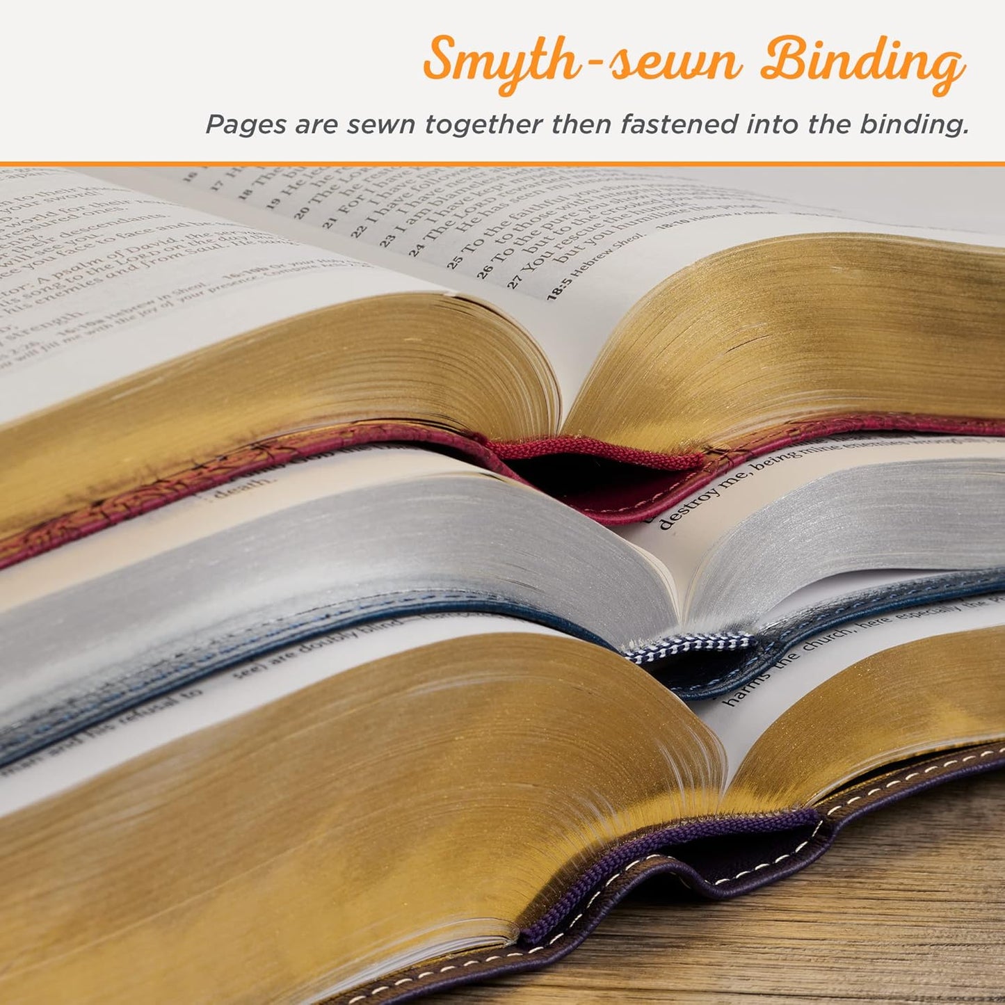 The Holy Bible - King James Version