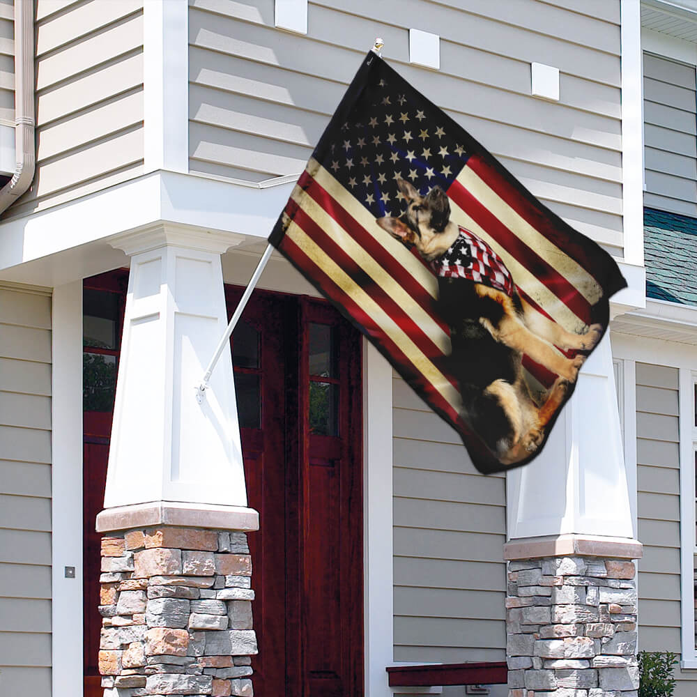 đ 4th of July Patriotic Pet Decor