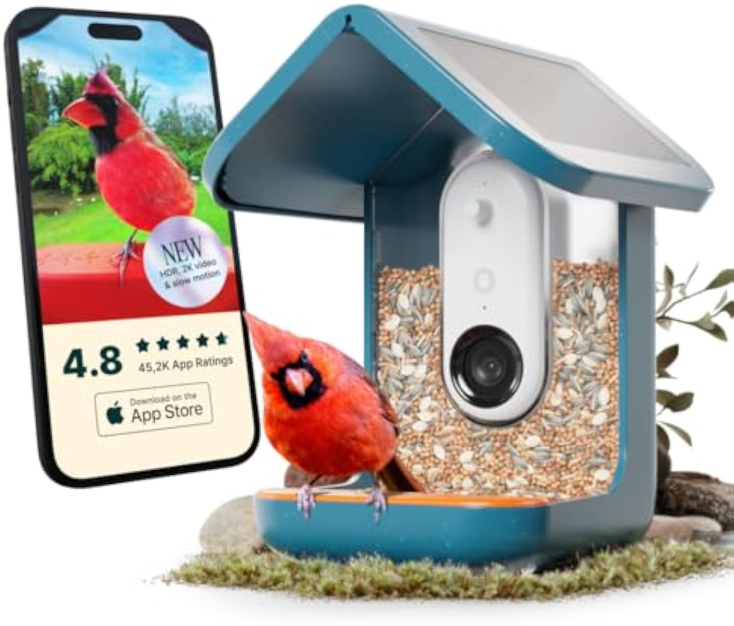π Solar Bird Feeder with Camera β 50% OFF Today! π¦πΈ