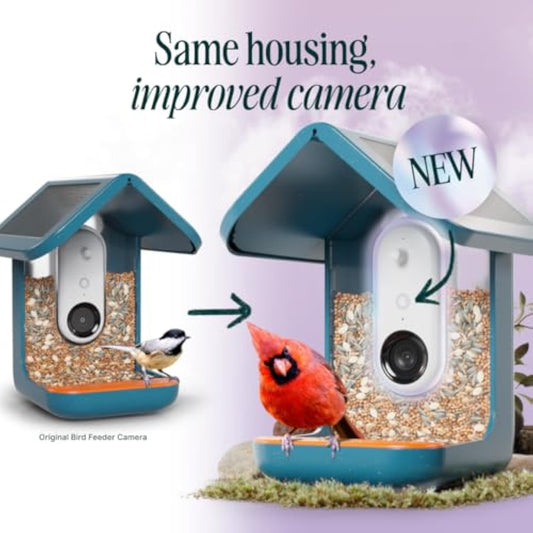 π Solar Bird Feeder with Camera β 50% OFF Today! π¦πΈ