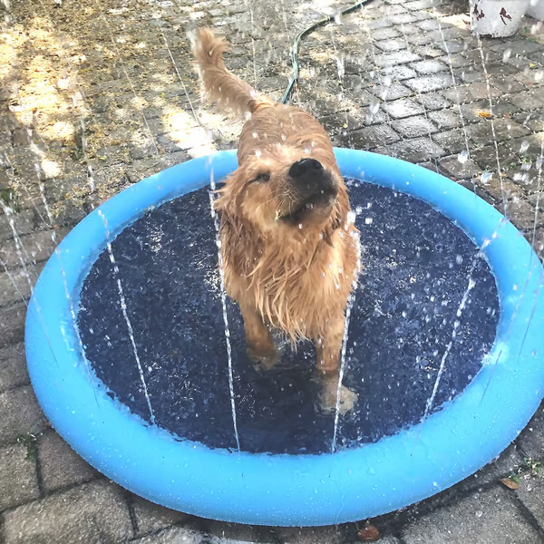 🎁Christmas Gifts🎄48%OFF🎅🔥Dog Splash Sprinkler Pad