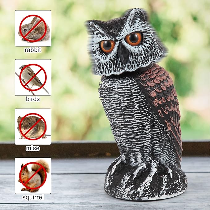 🦉 Owl Garden Guard – No Batteries Needed, Just Wind Power!
