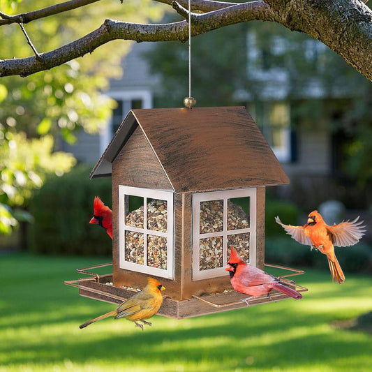 🐦Bird Feeder for Yard 🏠 Cottage Look | 49%OFF🎁